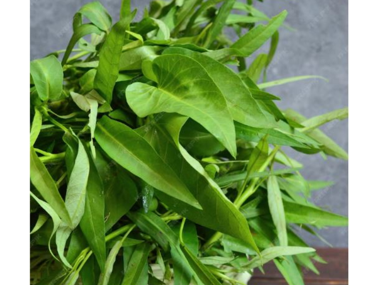 Kangkung ( tangkap layar frepik)