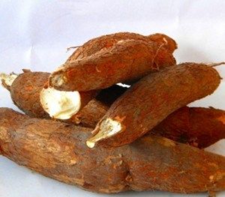 Singkong, umbi-umbian yang tumbuh subur di Indonesia (Pinterest)