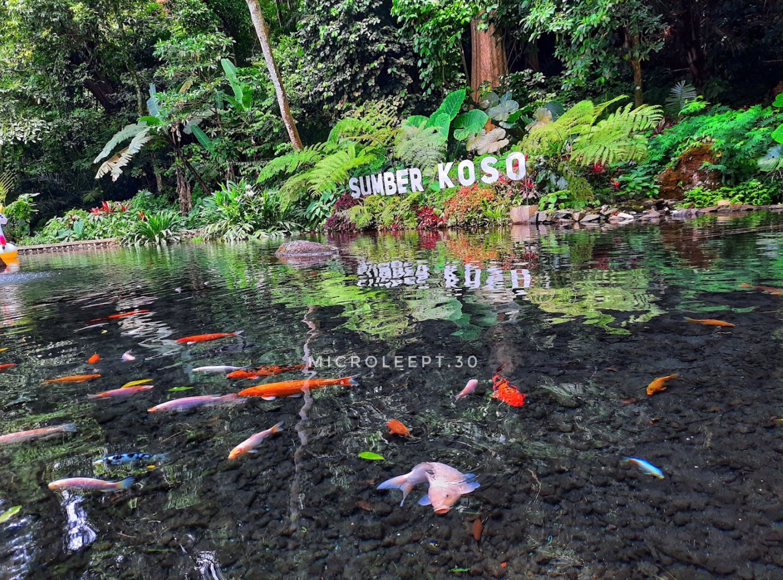Sumber Koso salah satu destinasi Wisata Ngawi yang Bisa Kamu Kamu Kunjungi Saat Libur Long Weekend