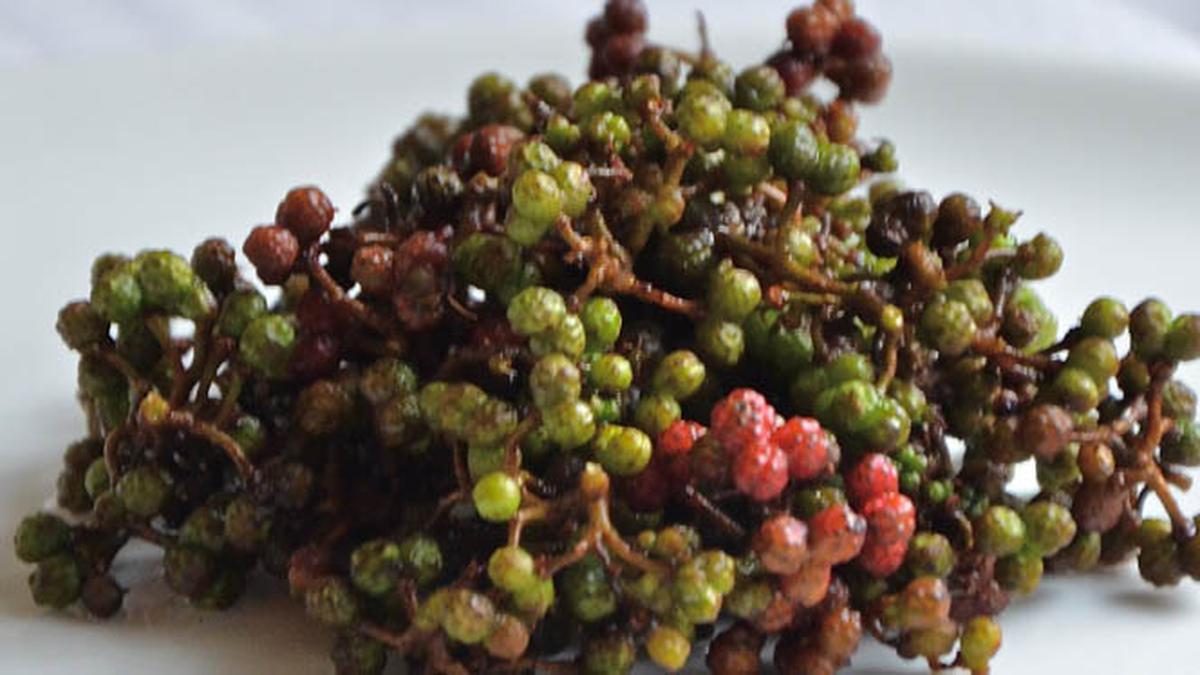 Andaliman, rempah khas nusantara