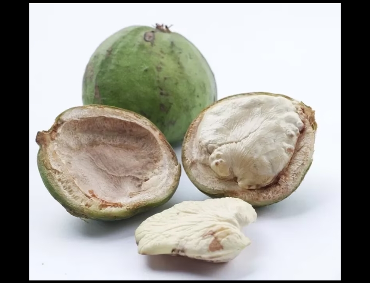 Buah gayam (Wikipedia)