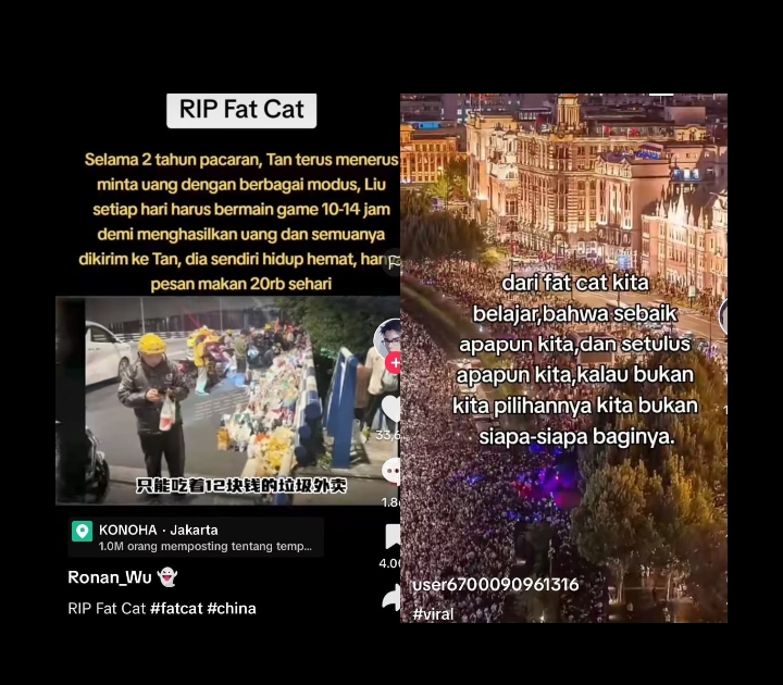 Ribuan masyarakat china mendatangi lokasi Fat Cat loncat bunuh diri (TikTok)