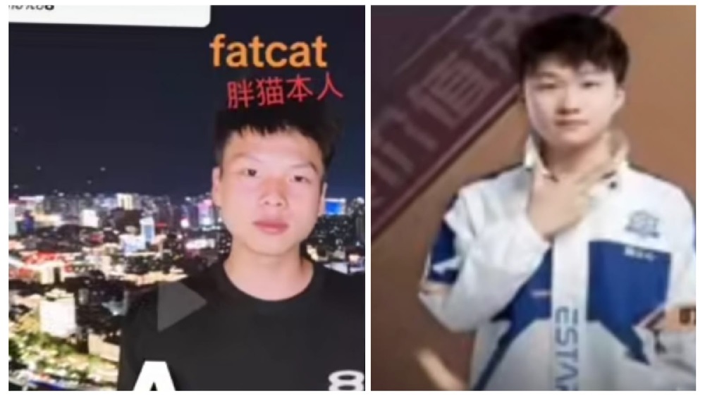 Potret Fat Cat, Ini wajah asli sang gemers! (TikTok @bacakoran.com)