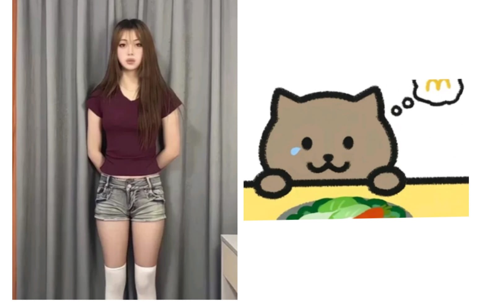ini dia sosok kekasih Sang Gemers China. Fat Cat