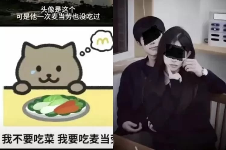 sosok Fat Cat, Idaman Para Wanita (@beritaterkini.com)