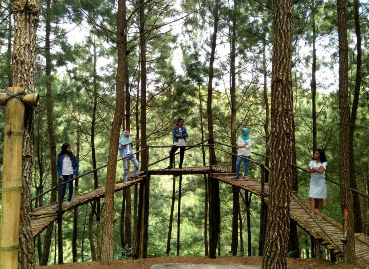rute terbaik menuju Wisata PInus Gemaharjo Pacitan