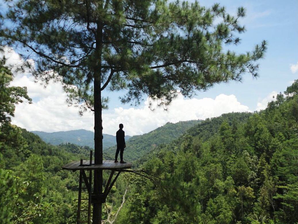Wisata Pinus Kita Gemaharjo (ig @ryanferryhandoko)
