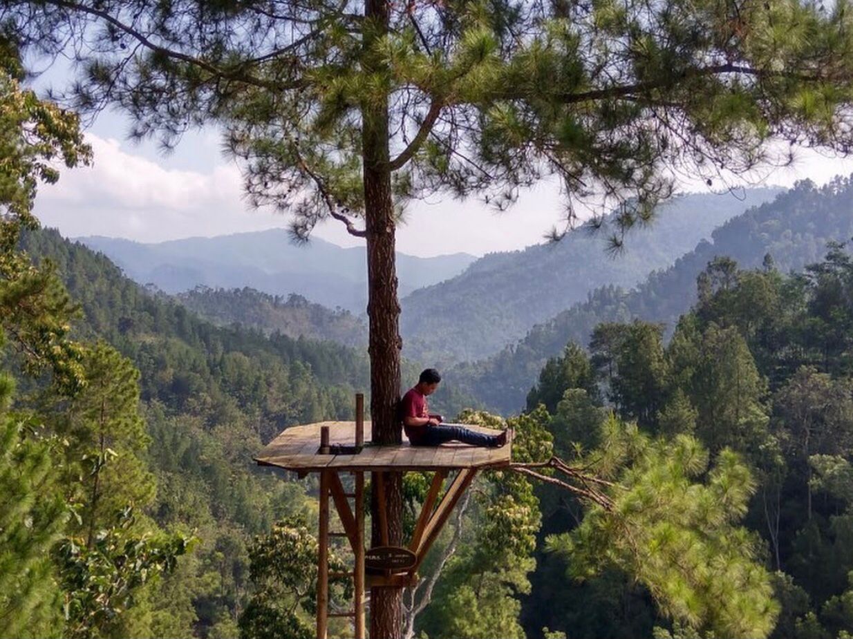 Tips-tips supaya mendapatkan hasil foto instagramable di Wisata Pinus Kita Gemaharjo