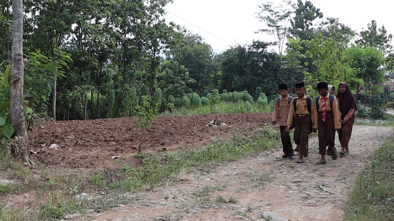 ANAK HEBAT: Nuru Susanti bersama belasan siswa SDN 5 Krebet menempuh jalan setapak turun naik bukit membelah hutan pinus sepanjang dua kilometer menuju sekolah setiap hari. (SUGENG DWI N)
