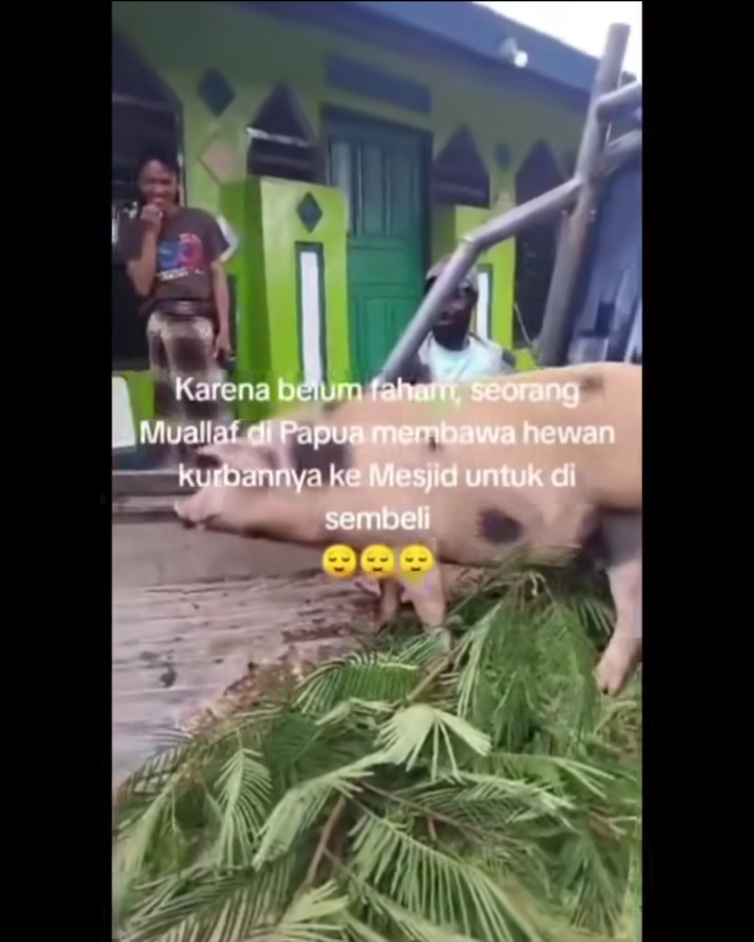 Mualaf Asal Papuan Membawa Babi Ke Masjid Dengan Niat Disembelih Untuk Kurban (Instagran @humor.minang)