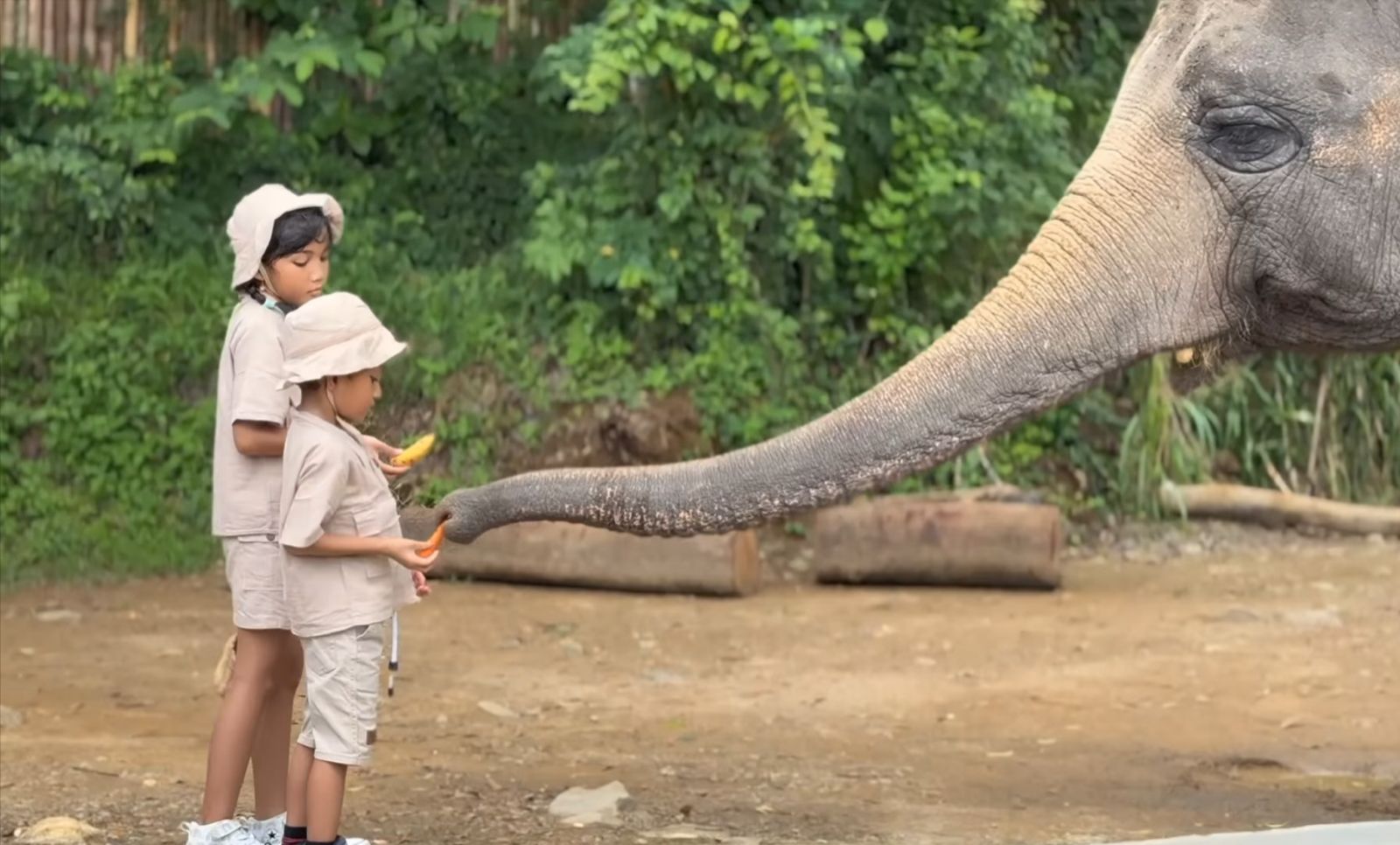 Solo Safari dengan beragam aktivitas menarik untuk dicoba (ig @solosafari.id)