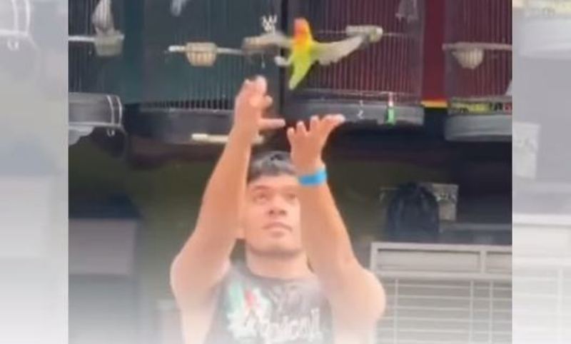 Viral konten di tiktok Saaih Halilintar dikritik netizen, namun ada juga yang memujinya. (CAPTURE Ig @jawapos)