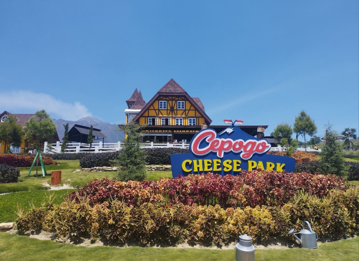 Cepogo Cheese Park Destinasi Wisata yang Suguhkan Pemandangan Ala Negeri Belanda