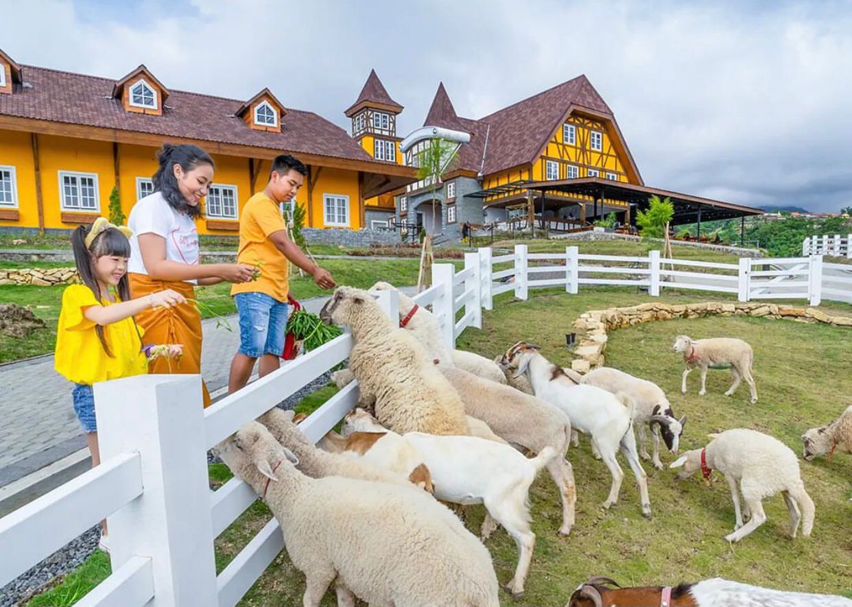 Berinteraksi dengan satwa merupakan salah satu aktivitas saat berada di Cepogo Cheese Park