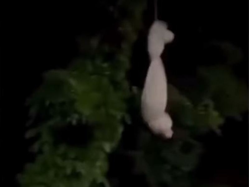 Prank Pocong oleh Anak-anak di Dumai Bikin Heboh Warga dan Pengendara di Kota Dumai, Riau. (Ig @jawapos)