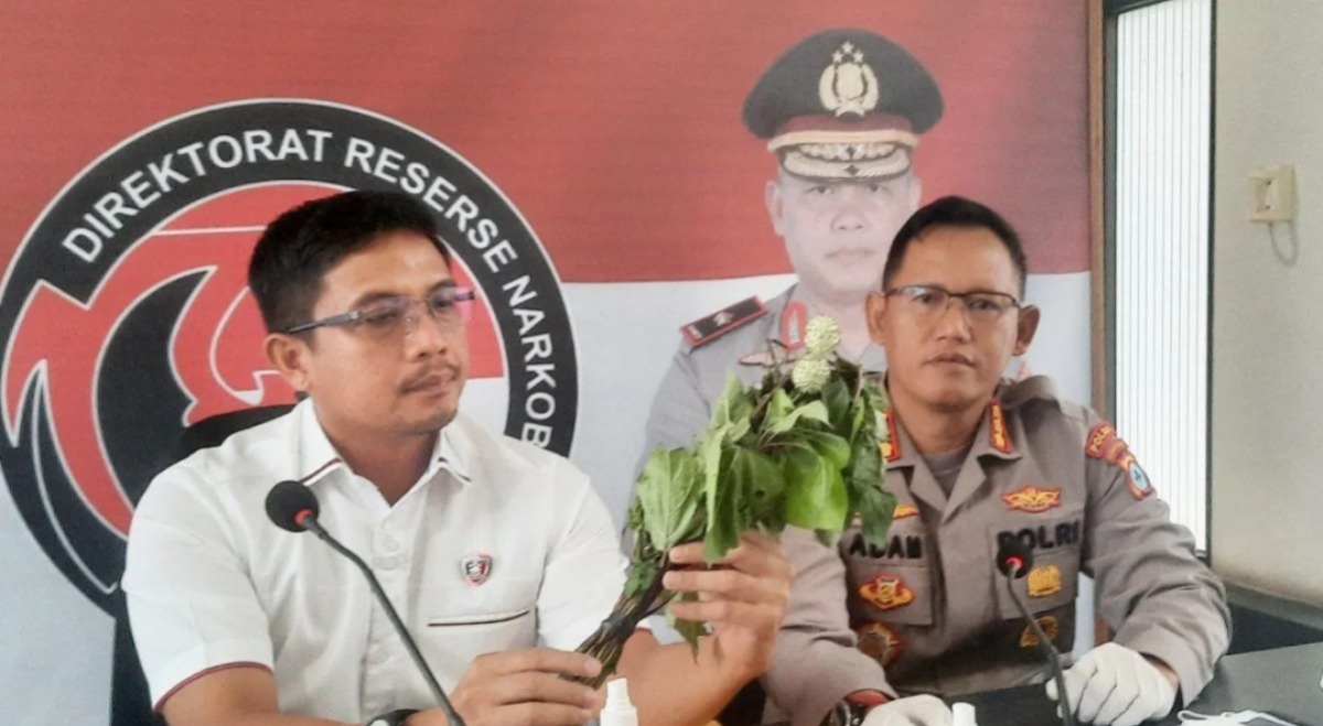 Direktur Reserse Narkoba Polda Kalimantan Selatan Kombes Pol Kelana Jaya tengah menunjukkan tanaman buah kecubung pada awak media.(Antara)