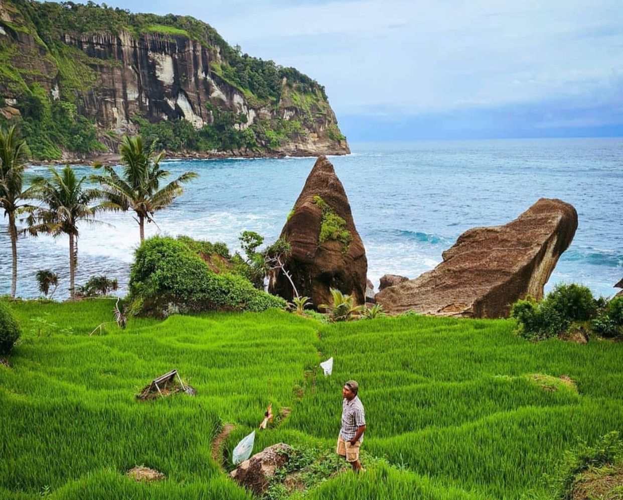 Pantai Pangasan Pacitan Jawa Timur (foto : ig @mbolangjatim)