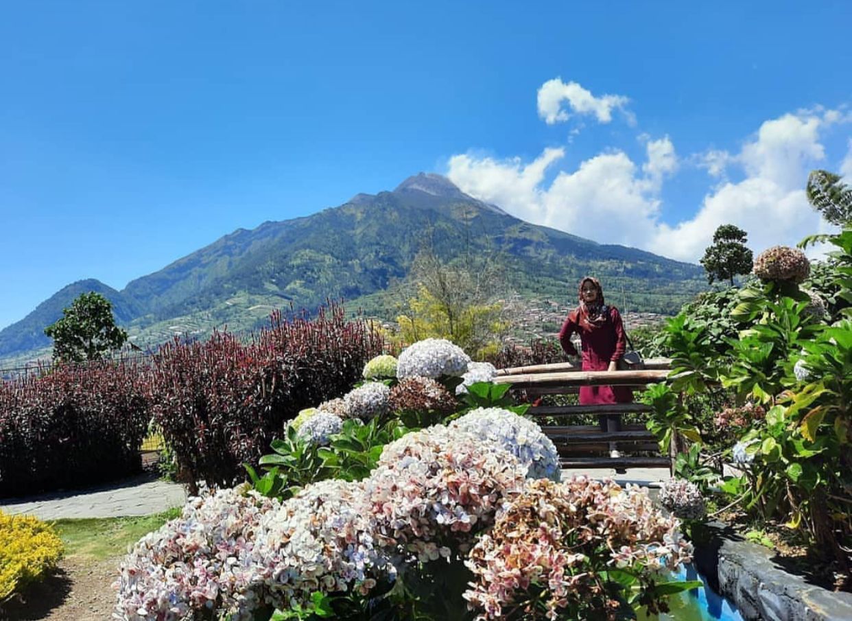 Wisata Merapi Garden Selo Boyolali Jawa Tengah (ig @merapigardenselo)