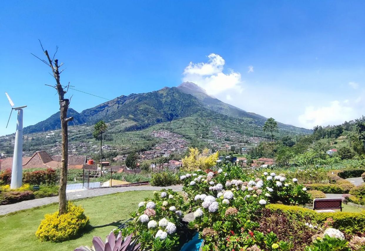 Keindahan Wisata Merapi Garden Boyolali (ig @merapigardenselo)