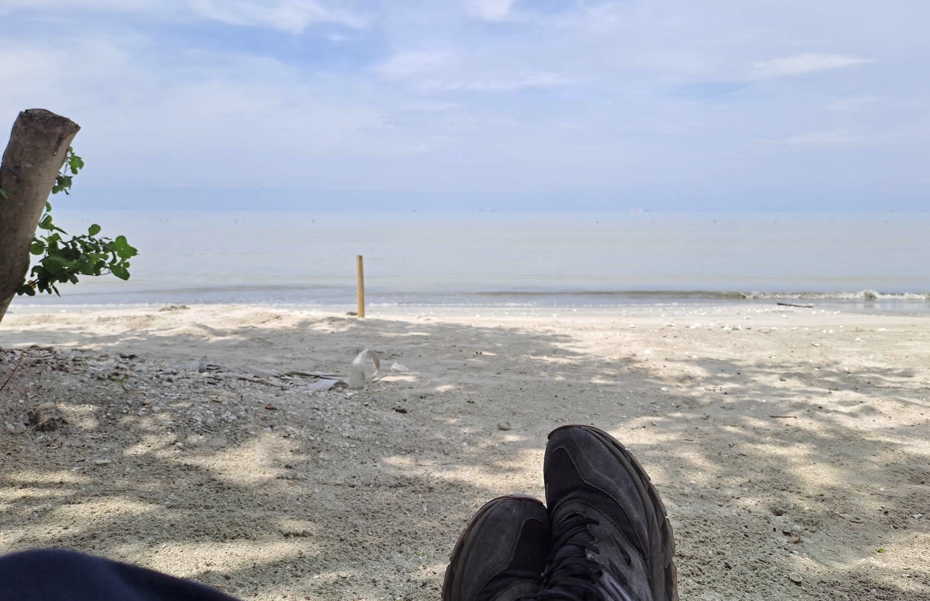 Pantai Cemara Indah Lampung Timur (foto google maps : jungleman 1o1)