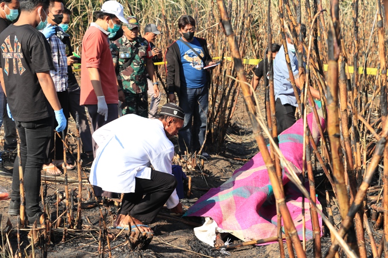 Kakek 60 Tahun Tewas Terpanggang di Ladang Tebu yang Terbakar di Ponorogo. (SUGENG DWI N./JAWA POS RADAR PONOROGO)&nbsp;