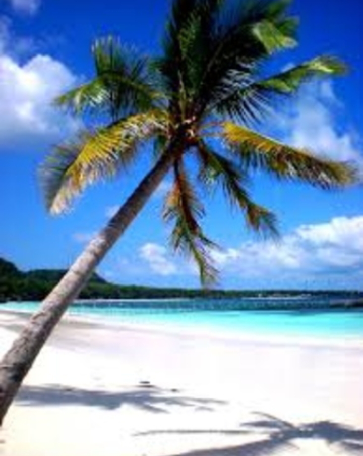 keindahan pantai dari segi manapaun (freepik)