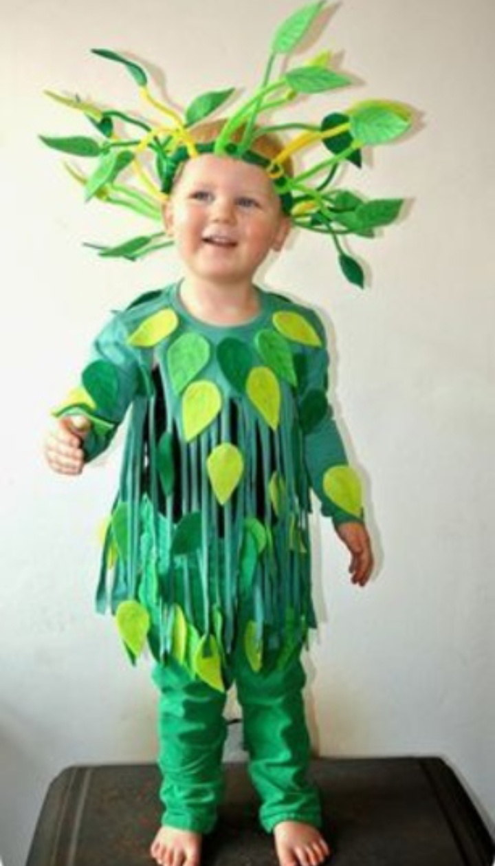 ide kostum untuk karnaval anak TK  (pinterest)