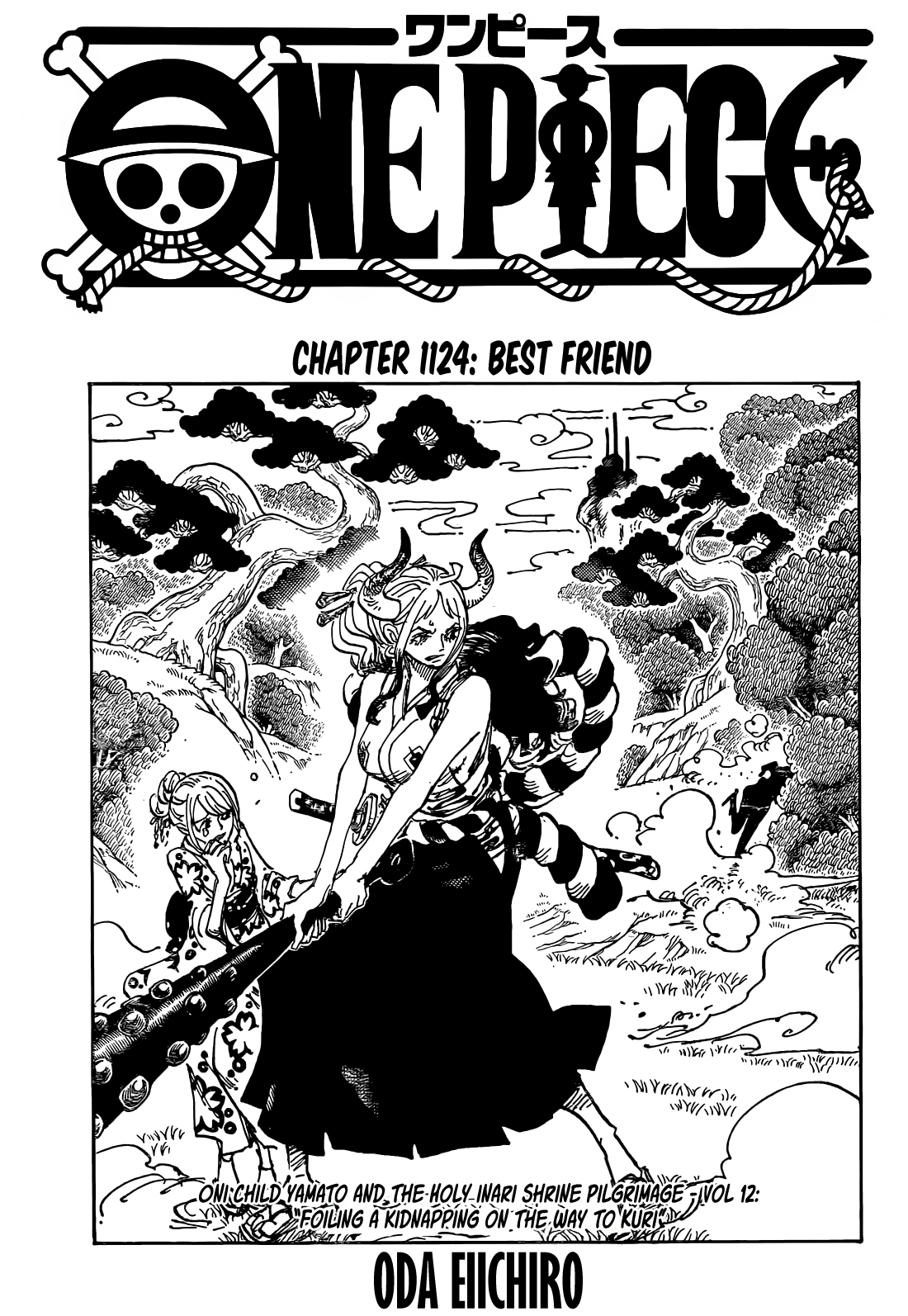 Cover One Piece 1124