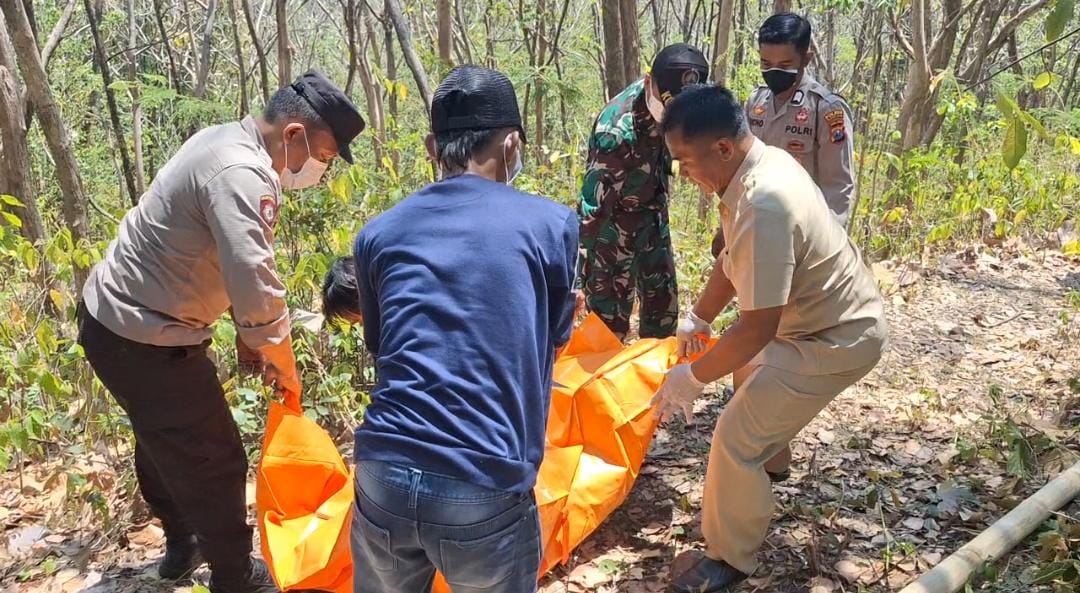 Proses evakuasi kakek 77 tahun hilang 13 hari ditemukan meninggal dunia di hutan jati Magetan Senin (2/9/2024). (AJI PUTRA/JAWA POS RADAR MAGETAN)