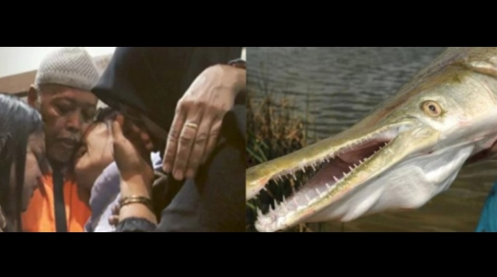 kakek piyono yang di penjara gara-gara memelihara ikan aligator (Istimewa)