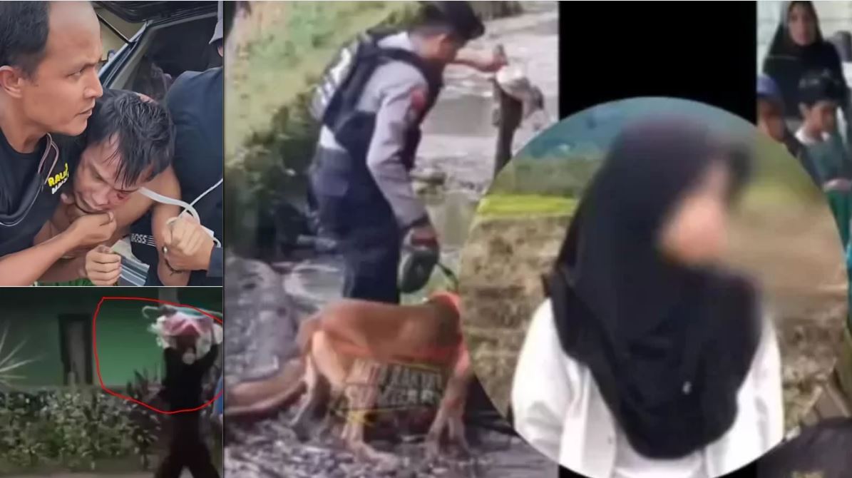 Motif dan alasan pelaku tega berbuat keji dalam kasus pemerkosaan dan pembunuhan Nia penjual gorengan di Padang Pariaman. (KOLASE ISTIMEWA)