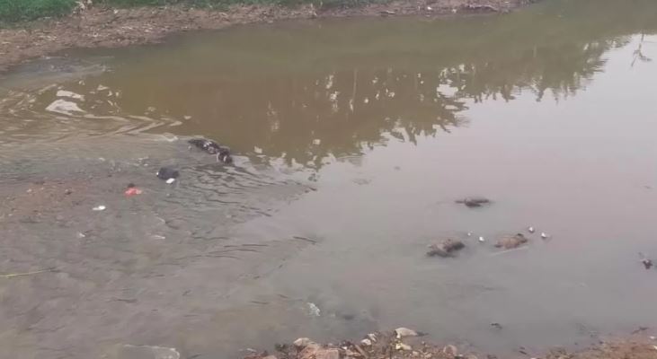 Temuan 7 mayat di kali bekasi. (RADAR KUDUS)