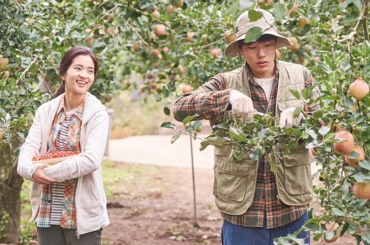 Hari Tani Nasional 2024, ini 4 film tentang pertanian yang inspiratif. (Little Forest)