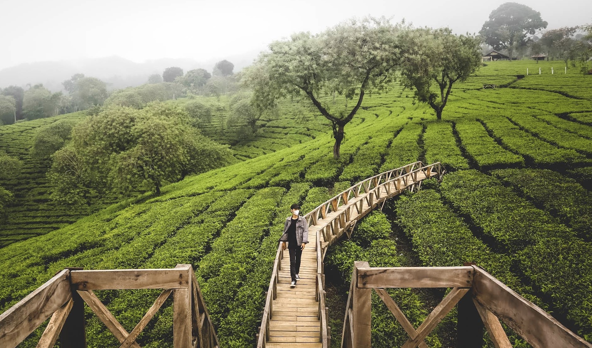 Pesona Keindahan Bukit Kuneer (gmaps : MAS IRR)