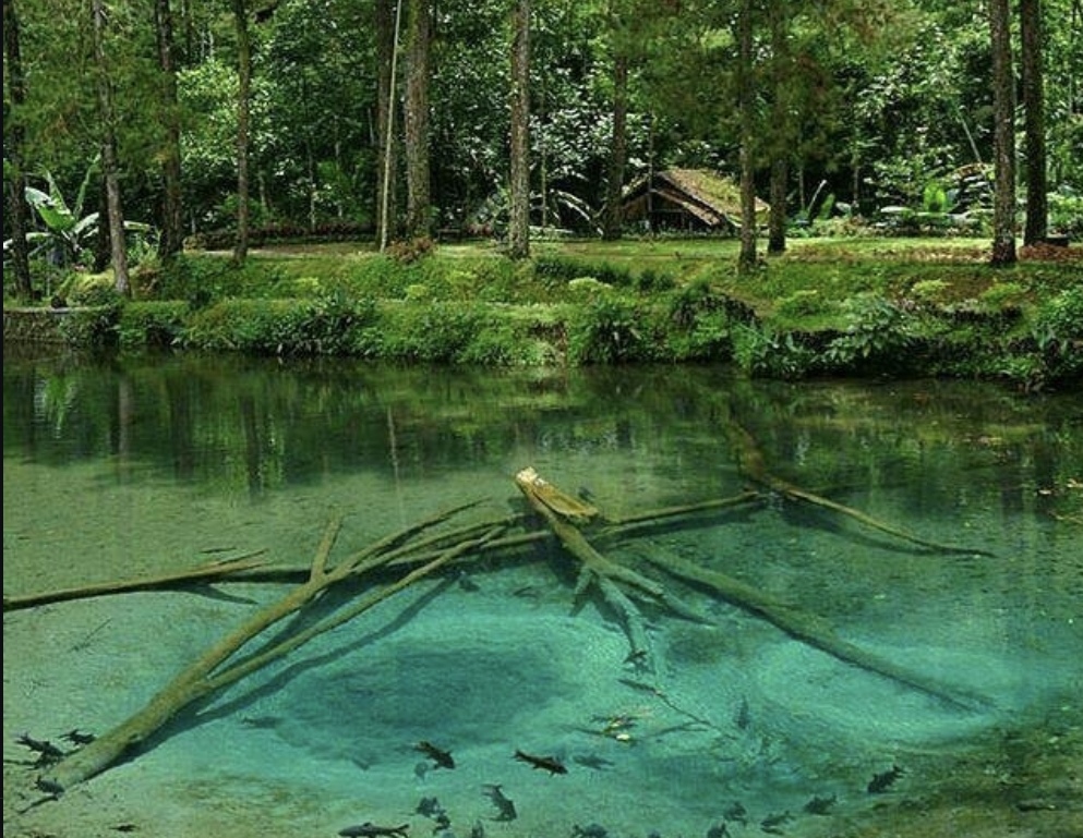 Wisata Rambut Monte menawarkan suasana sejuk dan pemandangan yang menakjubkan