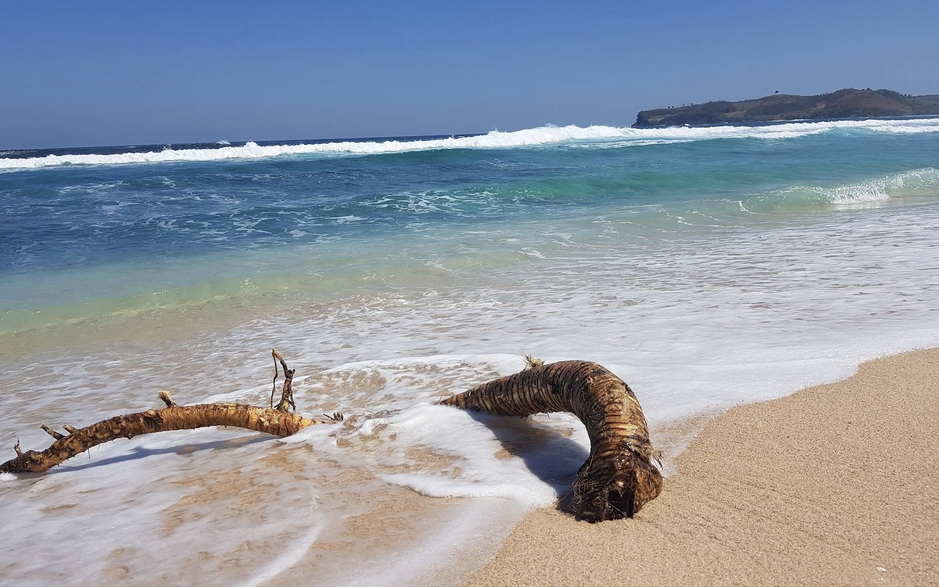 Pantai Pasetren Gondo Mayit yang eksotis (Gmaps : Deggy Aswal Fathius Mulayoga)