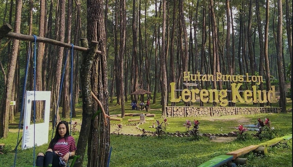 Hutan Pinus Loji Blitar, Destinasi Wisata dengan Pemandangan Sejuk dan Damai (ig @shareblitar)