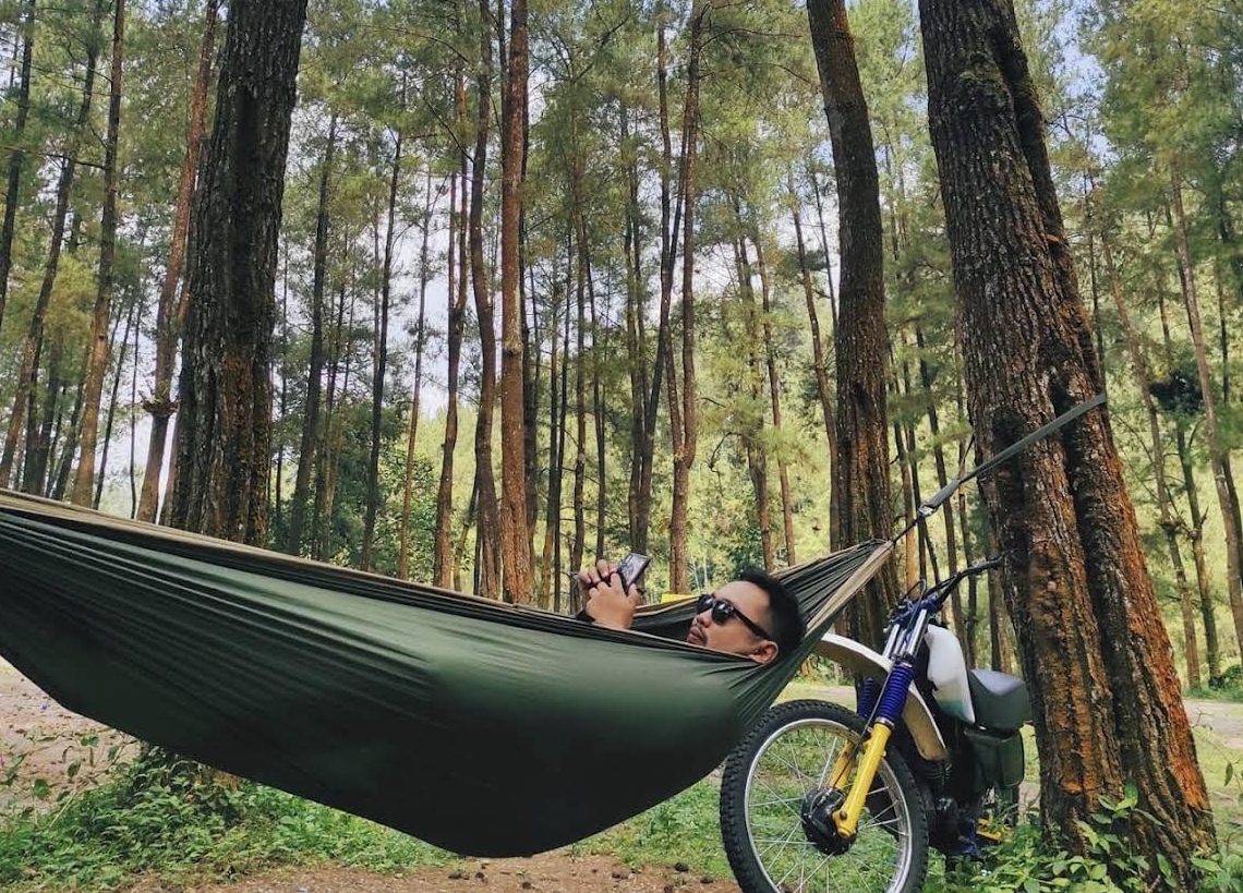Hutan Pinus Loji wisata yang menawarkan keindahan alam dan ketenangan.