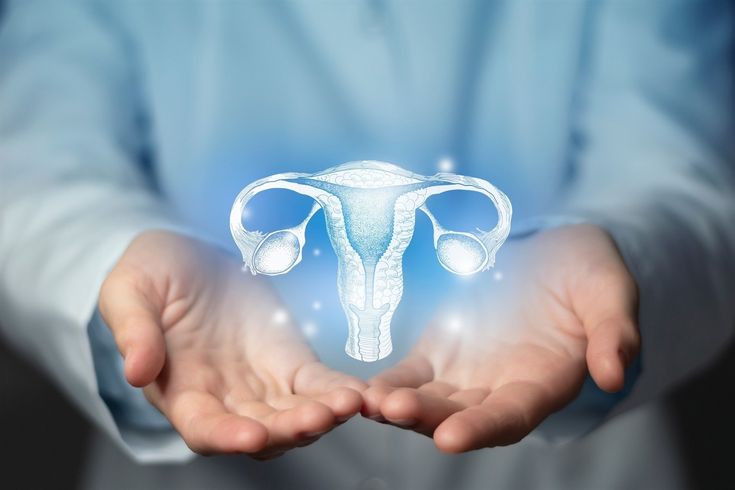 Bagi para kaum wanita, perlu diwaspadai ketika memiliki kadar hormone progesterone yang rendah, sebab akan menimbulkan berbagai macam masalah. (Pinterest)