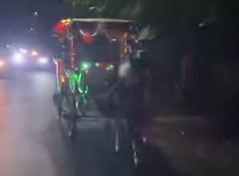 Delman jalan tanpa kusir di Magetan saat malam hari viral. (ISTIMEWA)