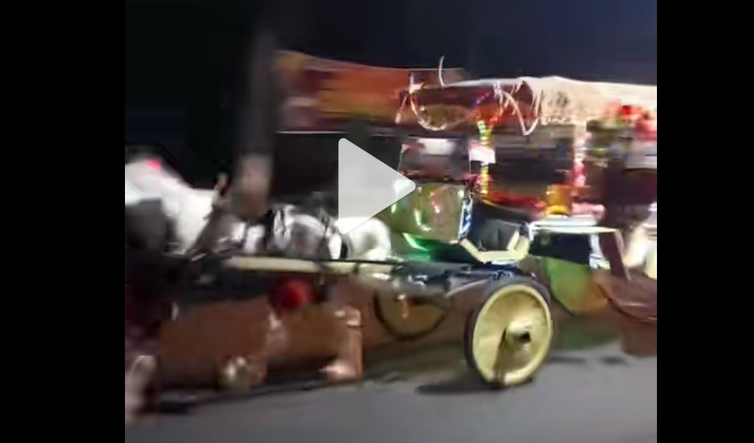 Video viral delman misterius berjalan tanpa kusir di Magetan saat malam hari. (CAPTURE TIKTOK)