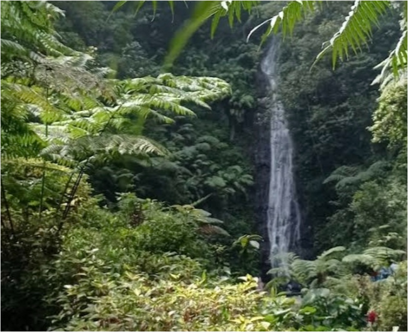 Petunjuk arah dan tips menuju Air Terjun Sirah Kencong Blitar