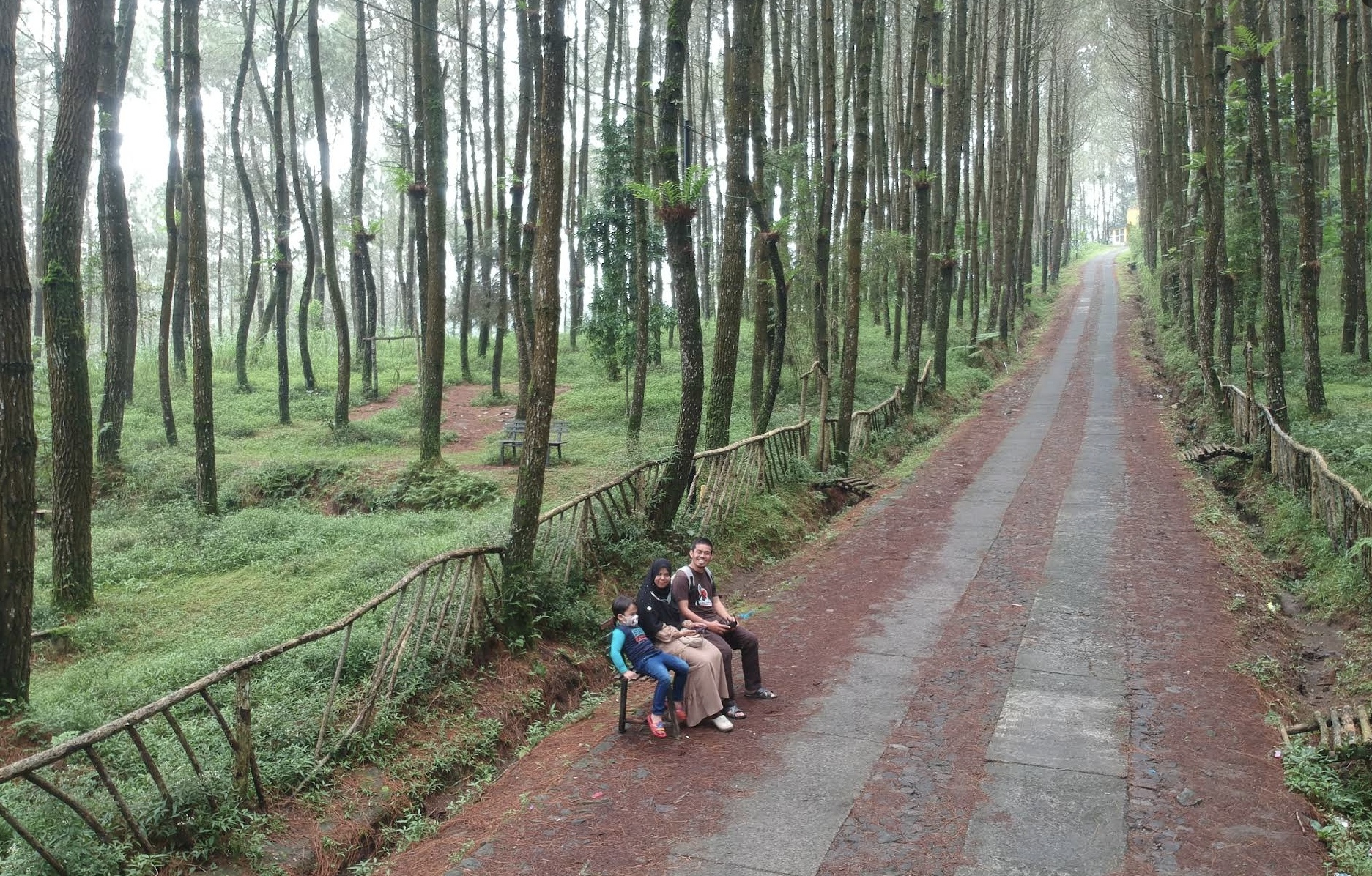 Hutan Pinus Kragilan Magelang/gmaps : Said Abdul Aziz Pejuang Subuh