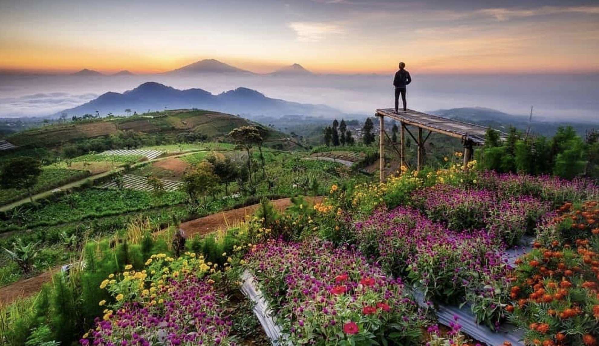 Keindahan alam memukau wisata Silancur Highland/gmaps : Shodiq Mgl