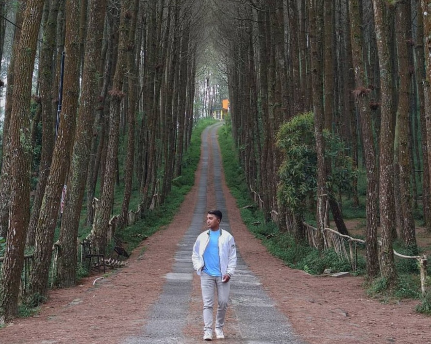 Petunjuk arah dan tips berkunjung di Hutan Pinus Kragilan/ig @riyonno