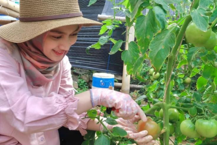 Cara daftar Petani Milenial 2024. (JAWA POS)