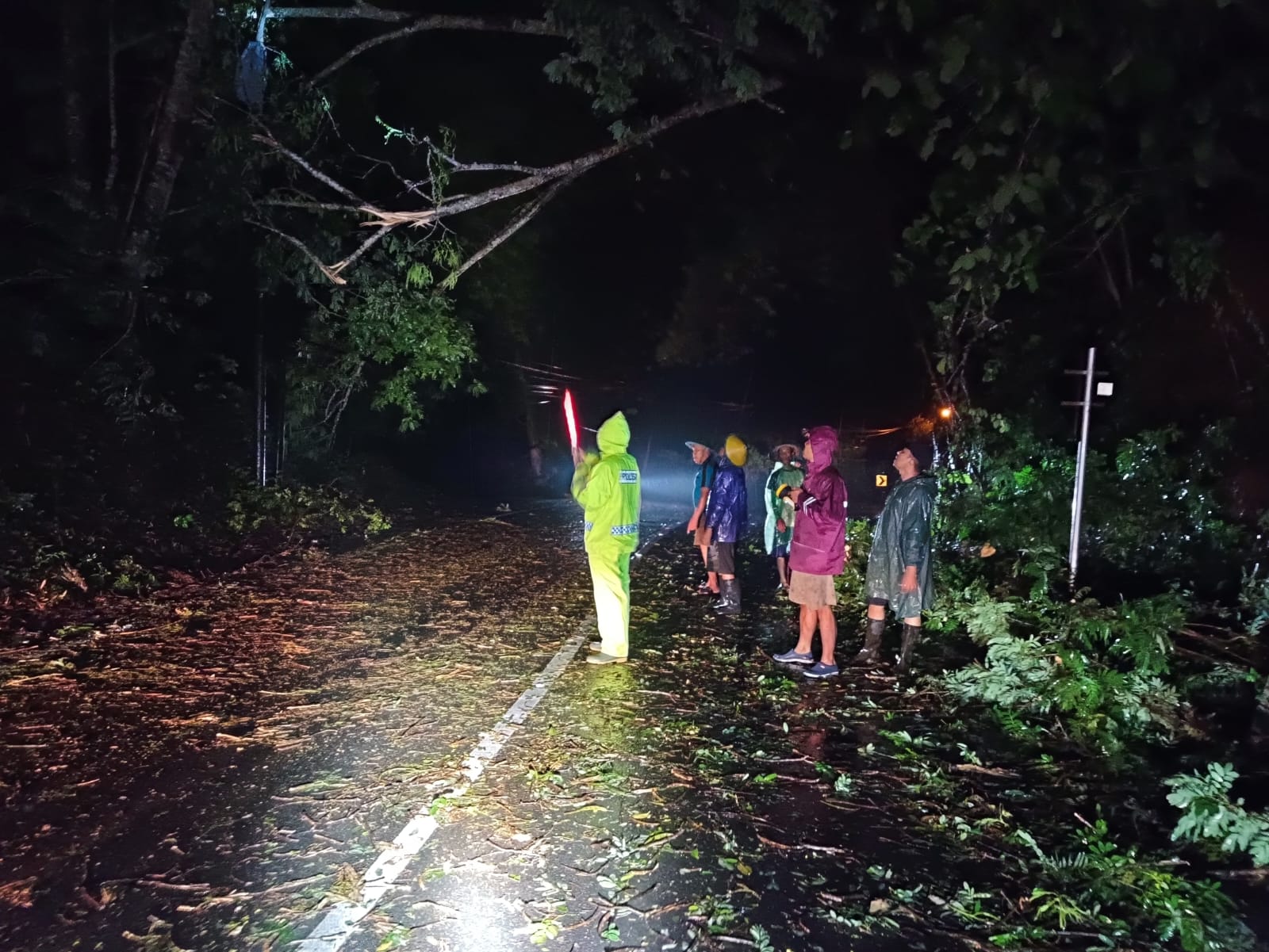 Pohon tumbang di Jalan Raya Pacitan-Ponorogo saat hujan deras dan angin kencang, Rabu petang (13/11/2024). (NUR CAHYONO/JAWA POS RADAR PACITAN)