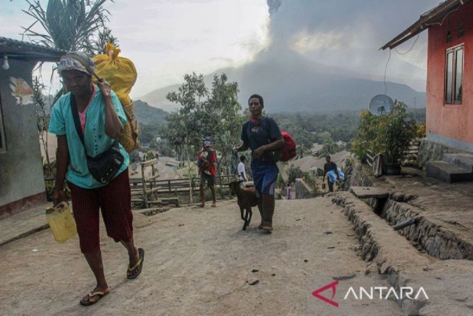 Sekitar 12.200 warga terdampak erupsi Gunung Lewotobi Laki-Laki terpaksa mengungsi, pemerintah siapkan bantuan rumah tahan gempa. (ANTARA)