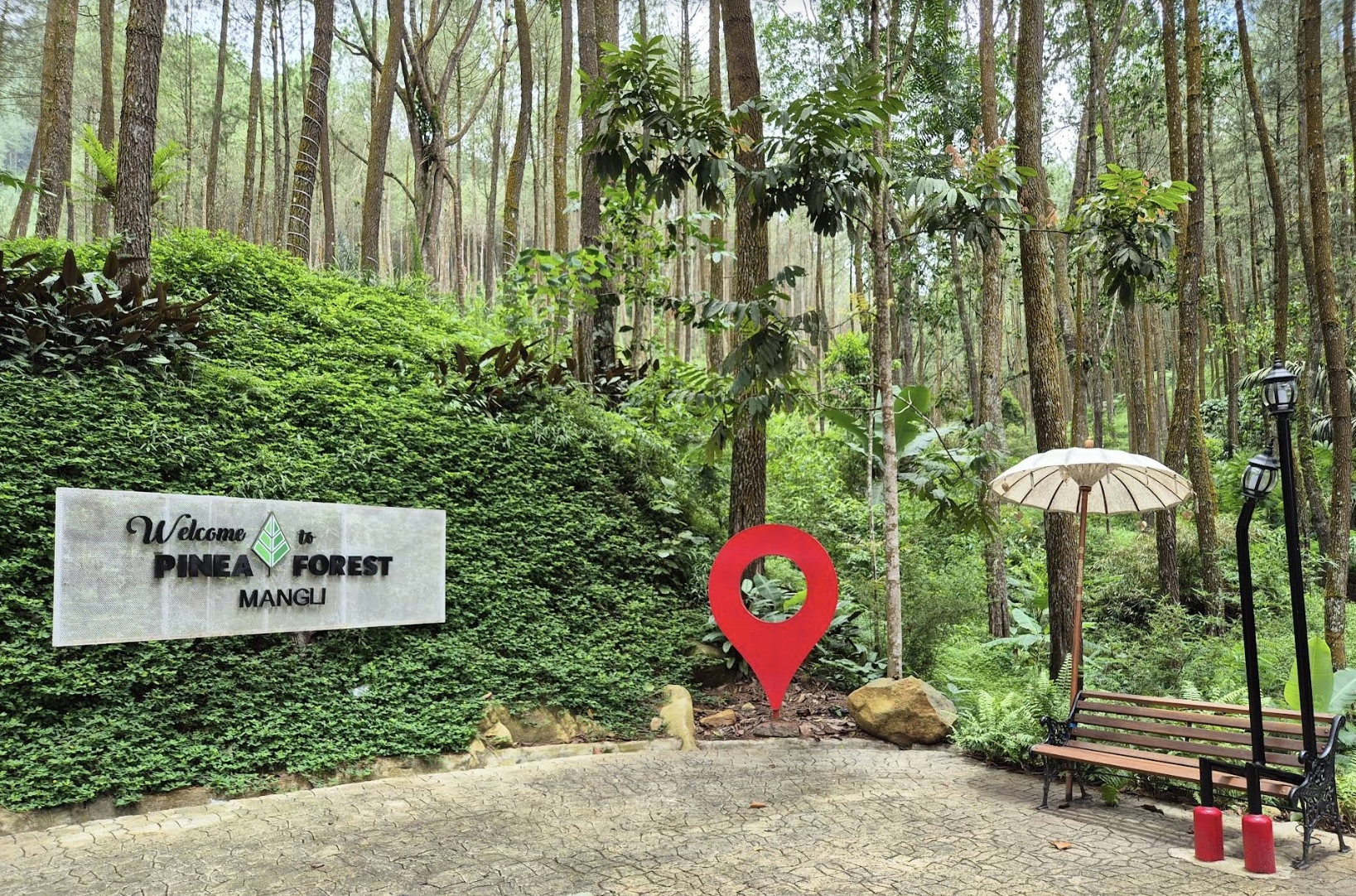 Seperti namanya wisata ini menawarkan pemandangan alam yang luas dengan hamparan hutan pinus yang rimbun. (gmaps : Gideon Agdikdo Mahardika)