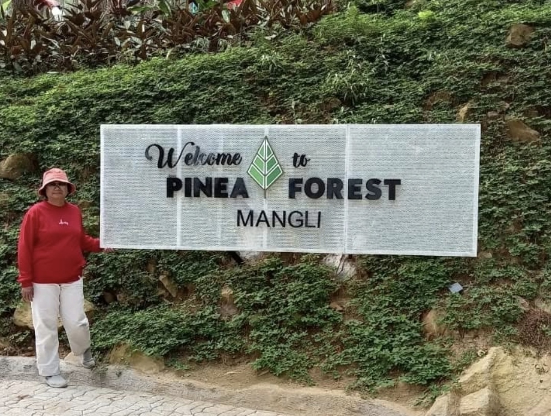 Pinea Forest Mangli dengan sederet aktivitas seru yang menarik perhatian (Foto: ig @sriratnanilamsari)